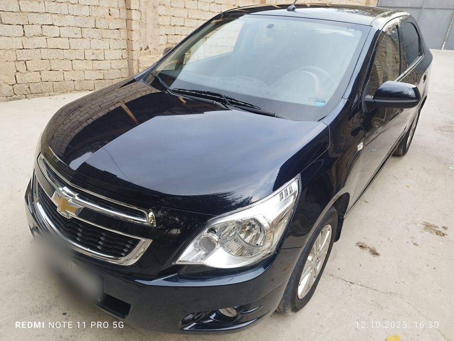 2023 краска тозза