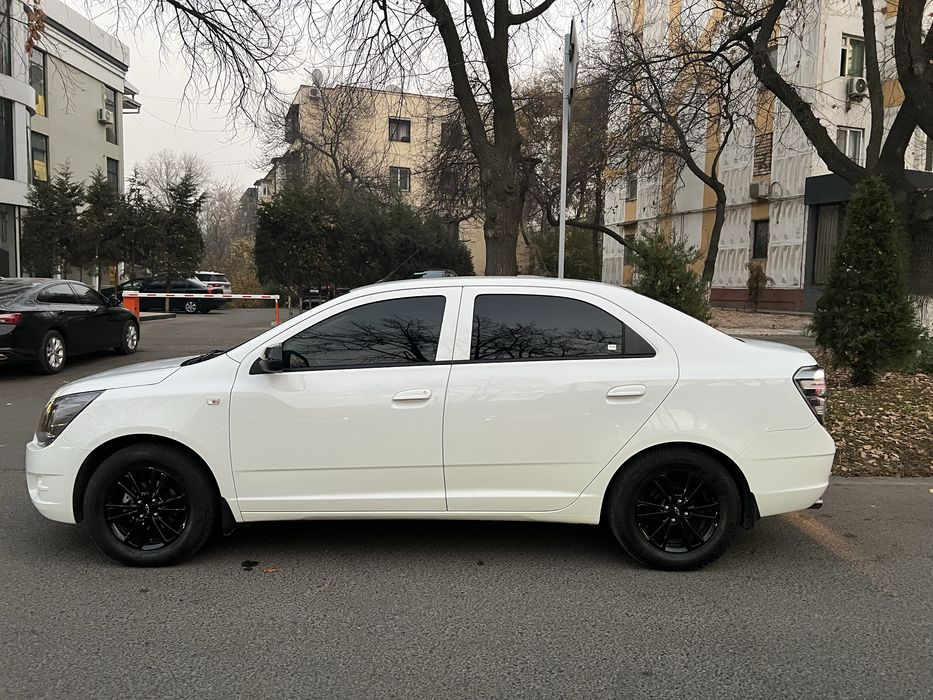 Cobalt midnight 24/25