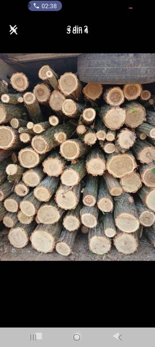 Vând lemne de salcâm ieftine
