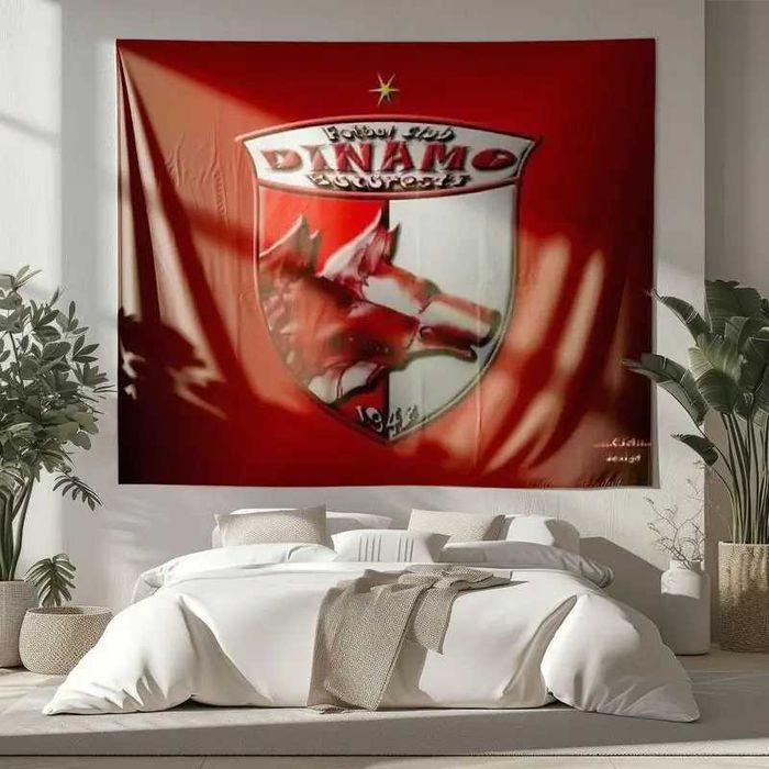 Pinza Dinamo Bucurestii