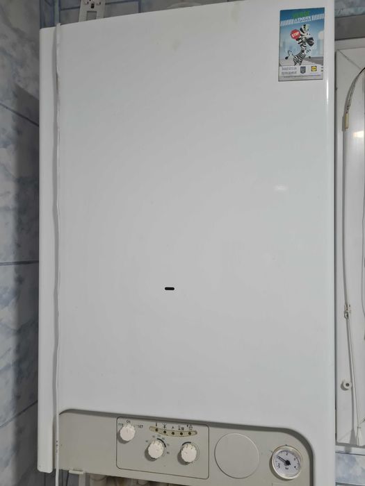 Ferroli Domina F 24 E