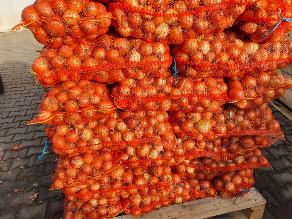 Ceapa rotunda diamant