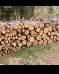 Vand lemne de foc aduse la domiciliu