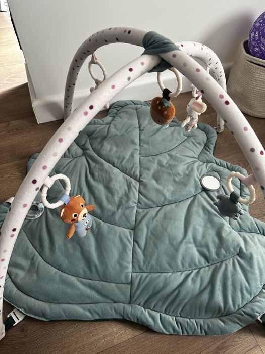 Salteluta/Centru de activitati