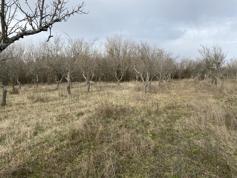 De Vanzare Teren Cocu  Sup 9440 mp Sat Popesti pret 12 lei mp