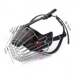 Botnita metalica Caucazian