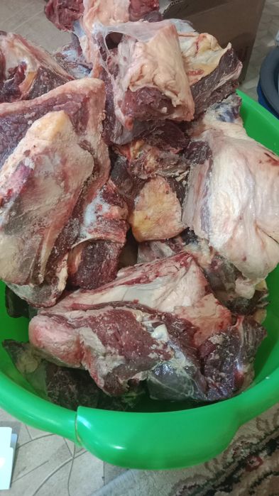Продам мясо говядина на кости,продам курт домашний, дождик штукатурка