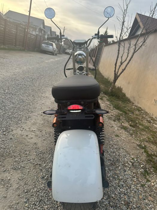 Moped electric 50 km autonomie
