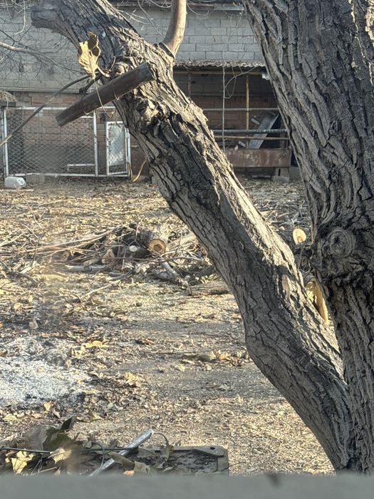 Отын Ағаш Дрова отын