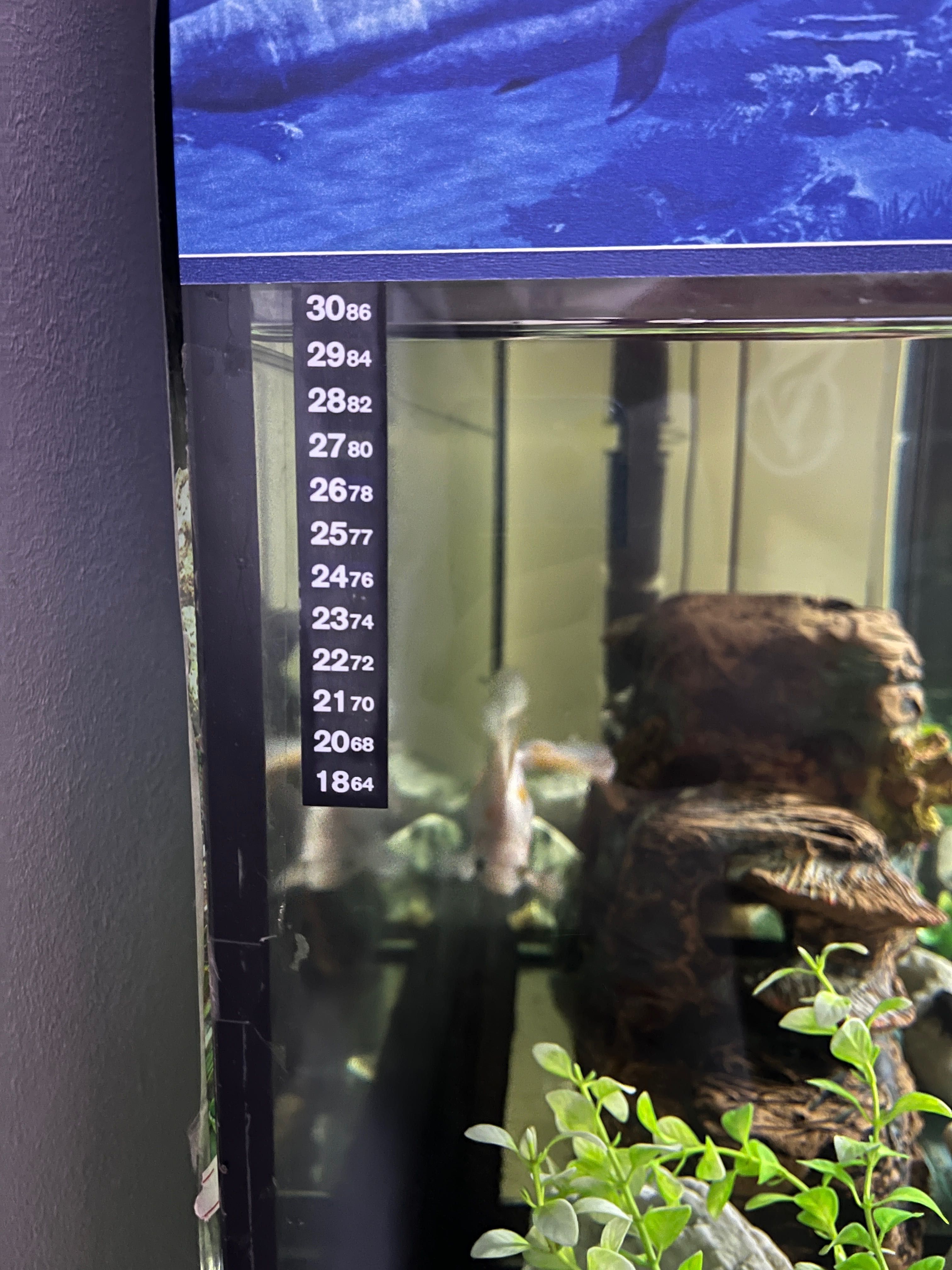 Akvarium sotiladi
