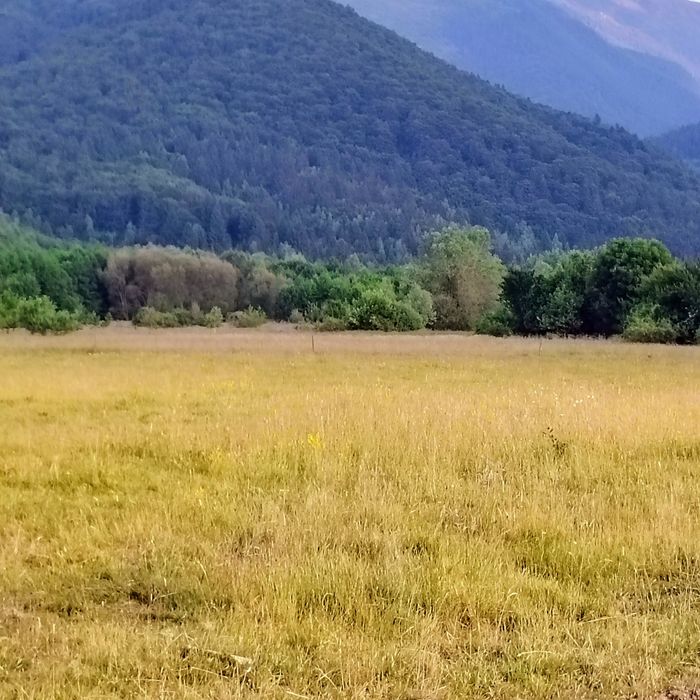 Vând teren zona turistica Breaza Făgăraș jud Brașov