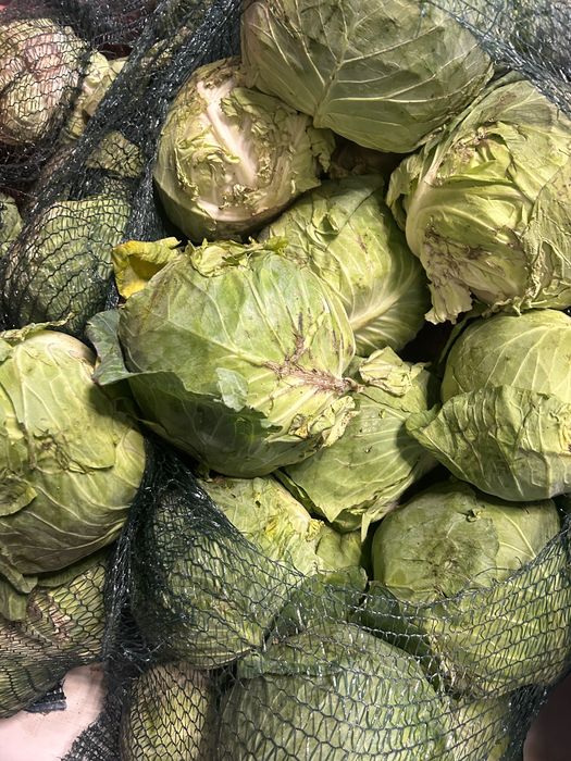 Varză albă veche
