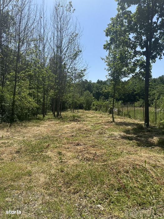 Cornu - teren intravilan 1100mp - 35 Euro/mp