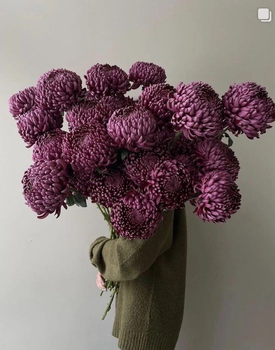 Пионы Голландские, Розы, хризантемы