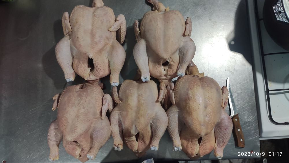 Продаю домашних бройлеров