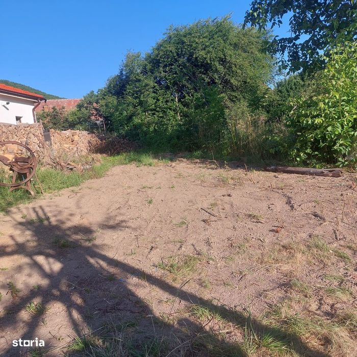 Teren de Vânzare-Rășinari