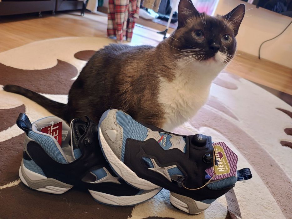 Rebook Instapump Fury 95 Originali 43