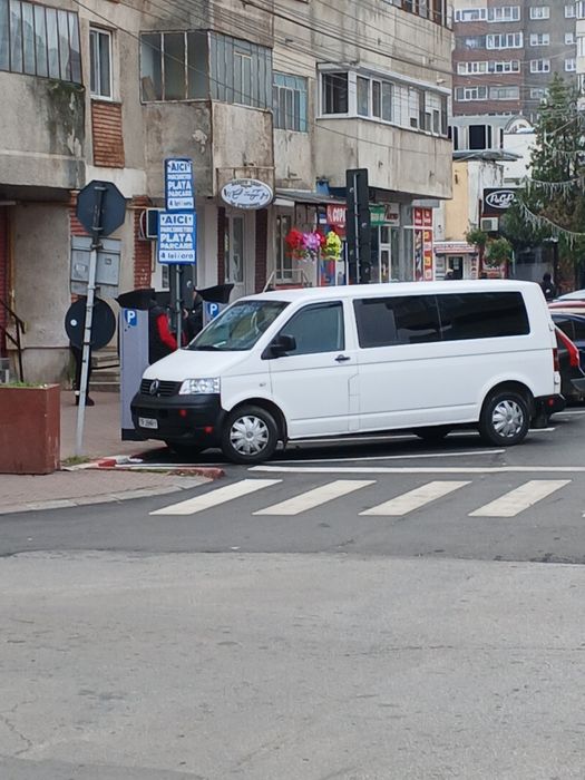 Transporter 19.model lung.