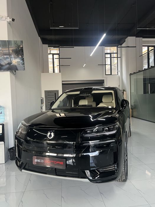 Denza N9 full комплектация