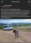 изгубено куче награда за намиране 500 лева