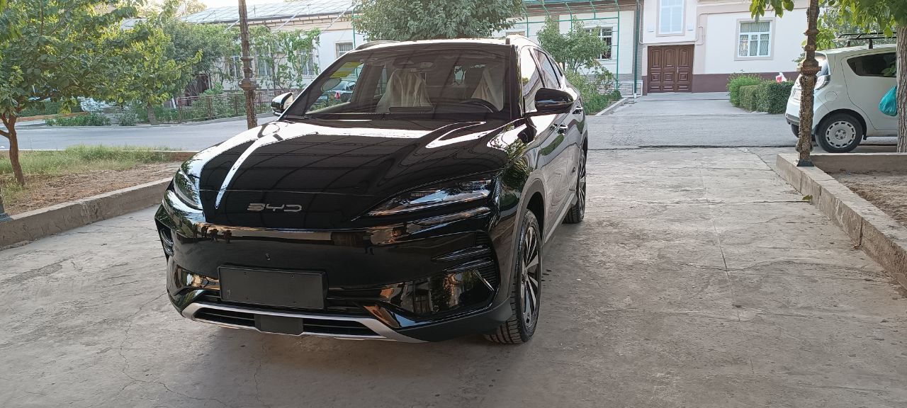 Byd Chepion 2024йил фулл позиция