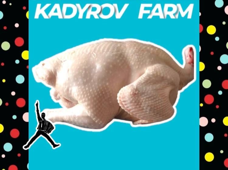 Домашняя индейка: сочно, полезно, доступно