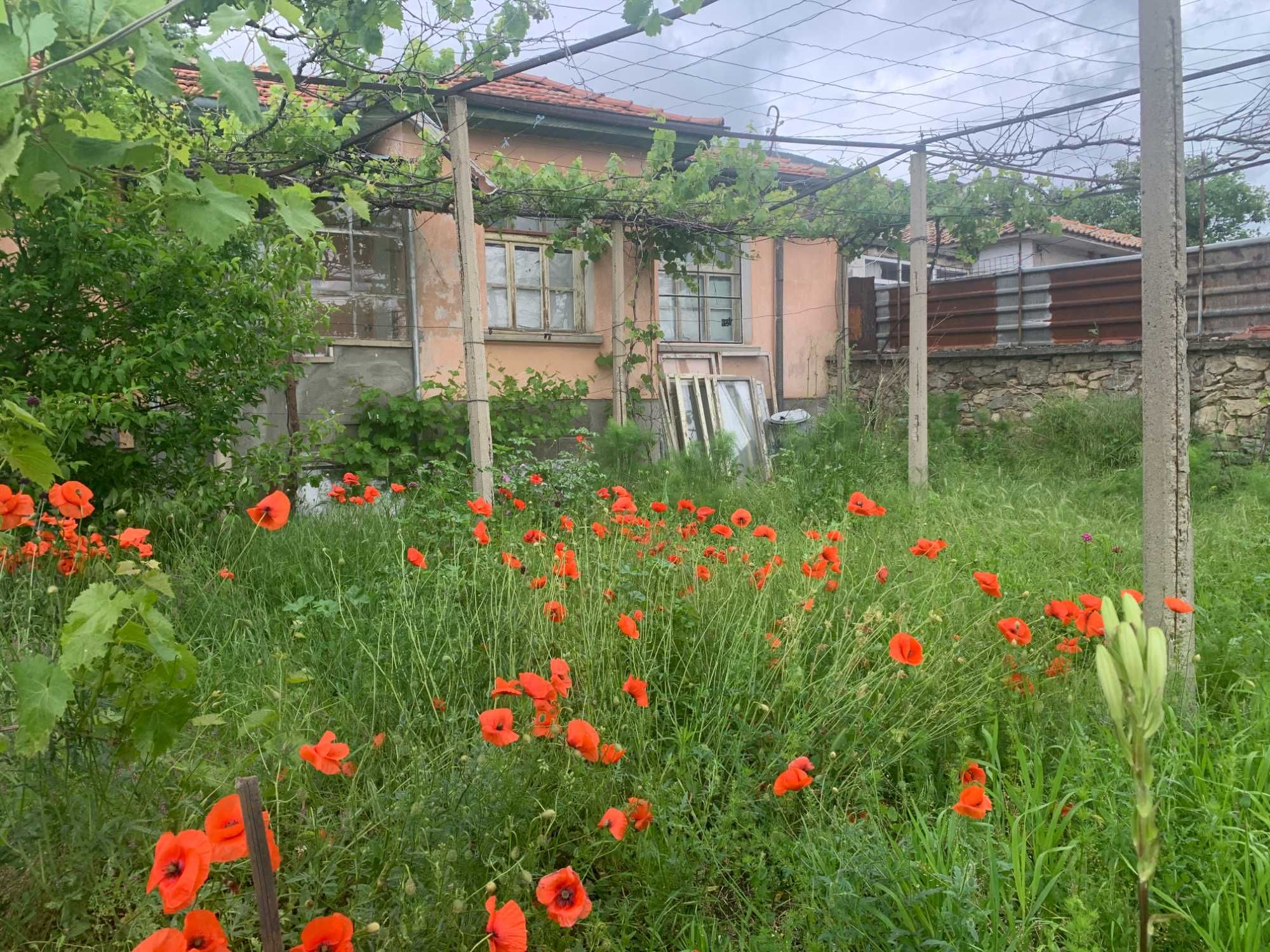 ДВЕ КЪЩИ с двор в центъра на кв. Сушица