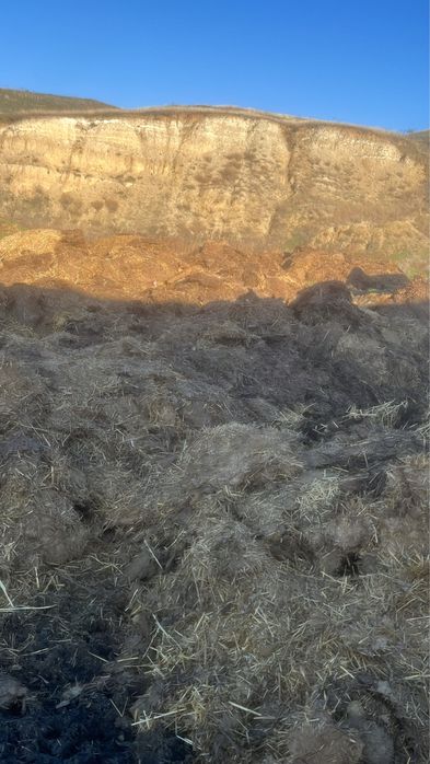 Gunoi grajd mranița