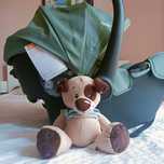 Детско столче Joie i-Snug Laurel.