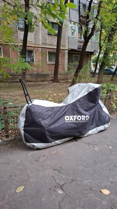 Honda Rebel 500 FOP an 2024