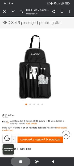 Set Grătar Profesional (Ustensile, Accesorii grătar)