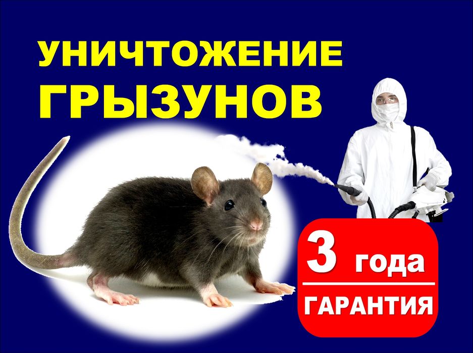 Дезинфекция грызуны крысы мышей Уничтожение грызунов