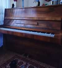 Пианино для занятий