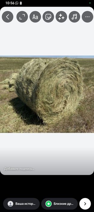 продам сено в рулонах