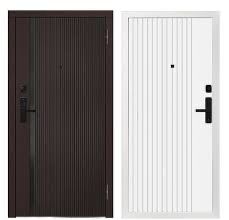 Дверь, Входная дверь