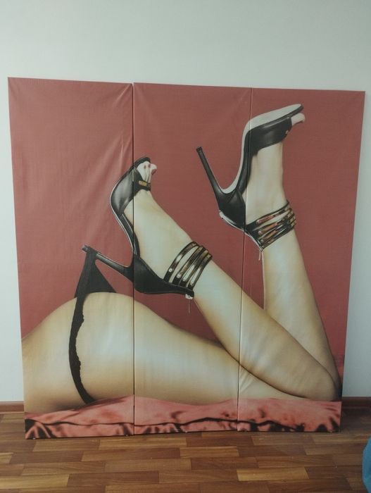 Продам ширму 3 секции. 50 см каждая секция, высота 160 см.