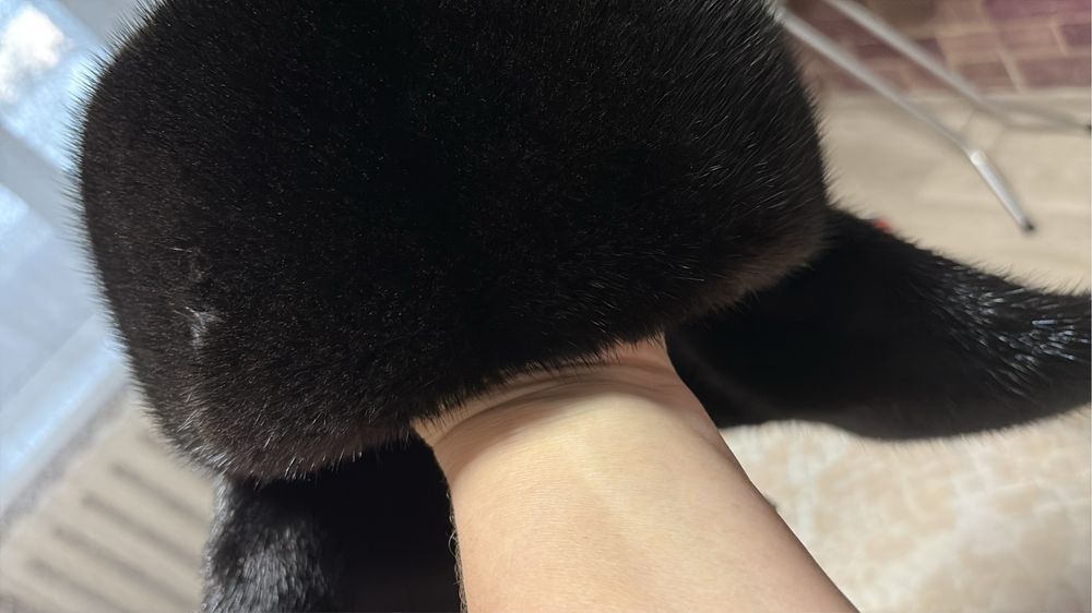 Продам норковую шапку в идельном состоянии одевали пару раз