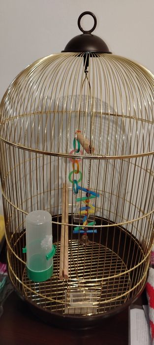 Большая клетка для карелл в хорошем состояний  размер 65-40см