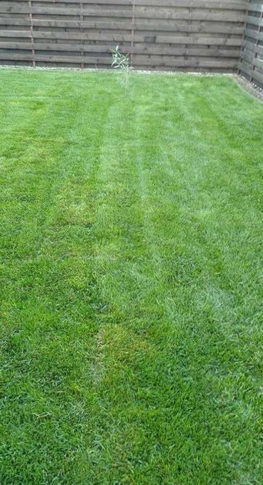 Gazon Rulou Sisteme de Irigare