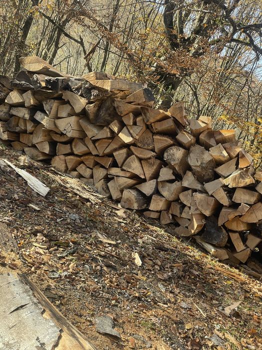 Lemne de foc fag blană