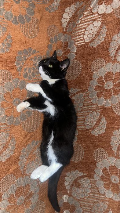 Жаксы карайтын адамга берем