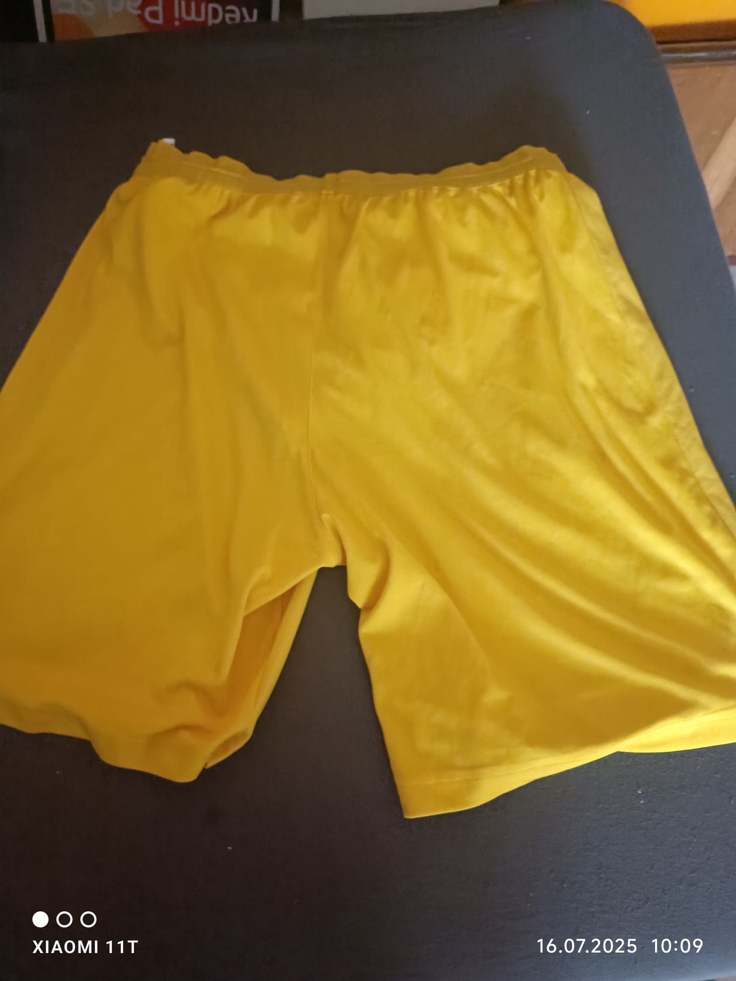 Puma  BVB original
