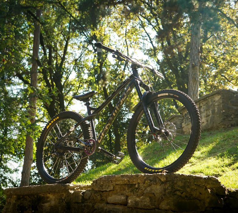 Dartmoor primal 27.5 2020