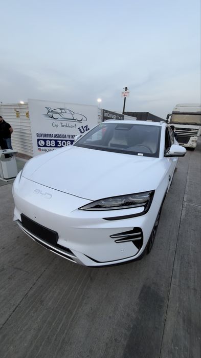 Byd champion smart 2026 фулл позиция