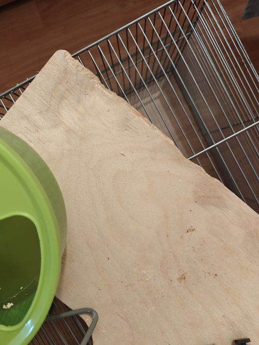 Cusca hamsteri/rozatoare mici