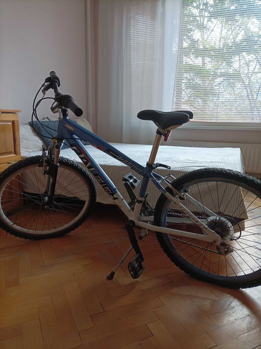 Велосипед и тротинетка