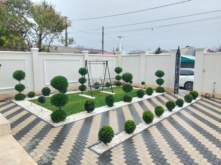 Grădinar / Amenajare grădini / Întreținere spații verzi