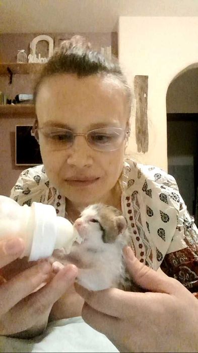 PET SITTER - Îngrijire animale la domiciliu - Iubire şi vizite zilnice