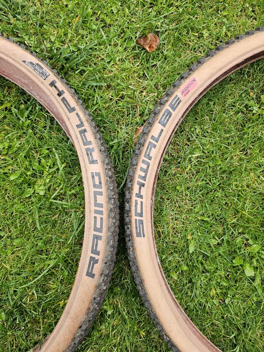 Schwalbe Racing Ralph Folding Tire - Evolution | AddixSpeed