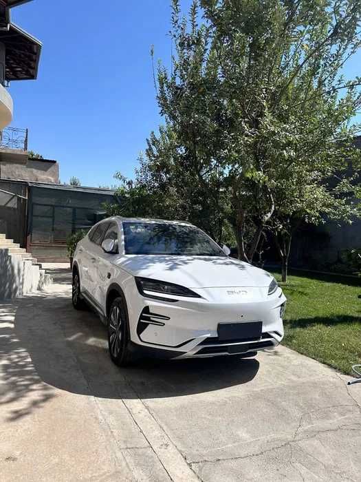 BYD Song Plus Champion naqt va nasiya asosida chiqazib beramiz